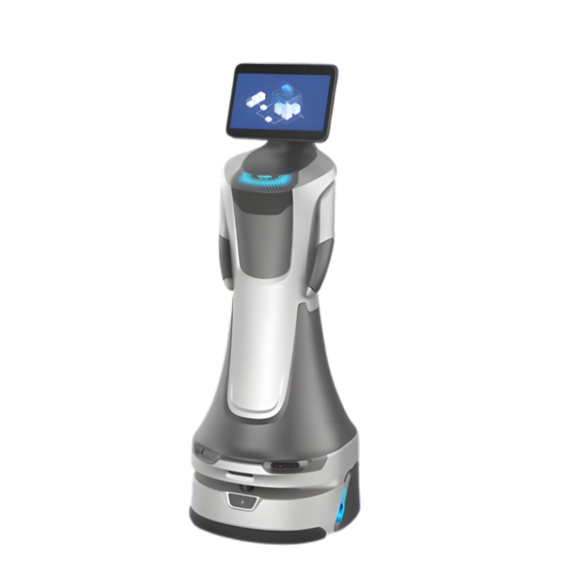 AI voice interactive robot