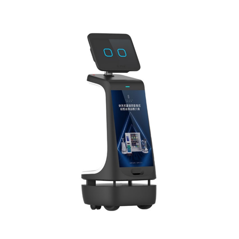 Reception robot - Joey