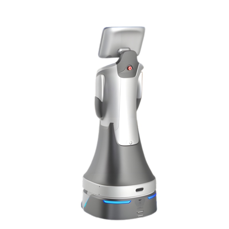 AI voice interactive robot