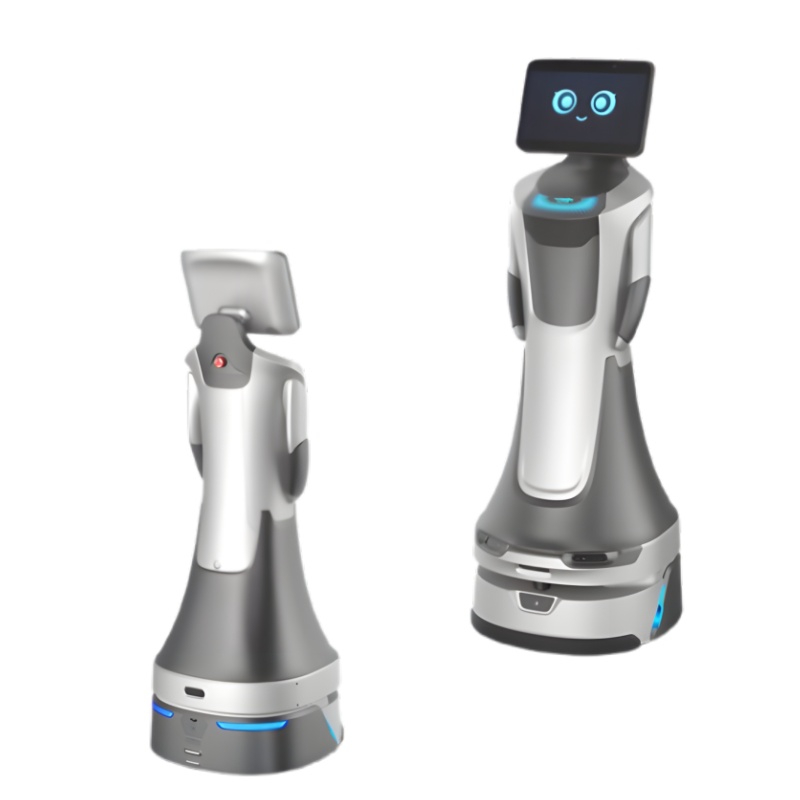 AI voice interactive robot