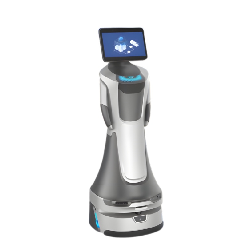 AI voice interactive robot