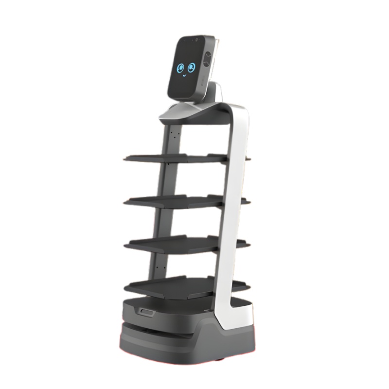 Marketing robot - Fortune Leopard