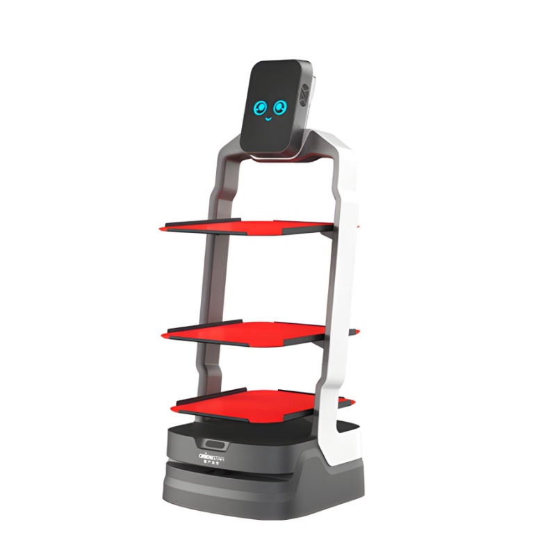 Marketing robot - Fortune Leopard
