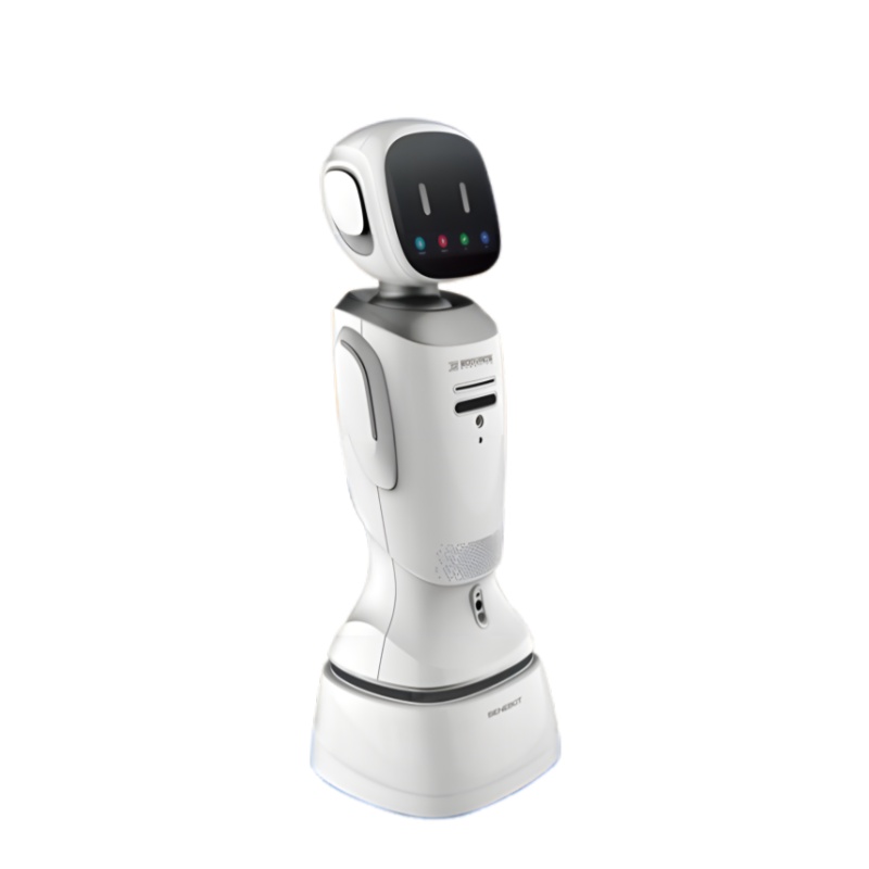 Intelligent Service Robot - Wangbao 3