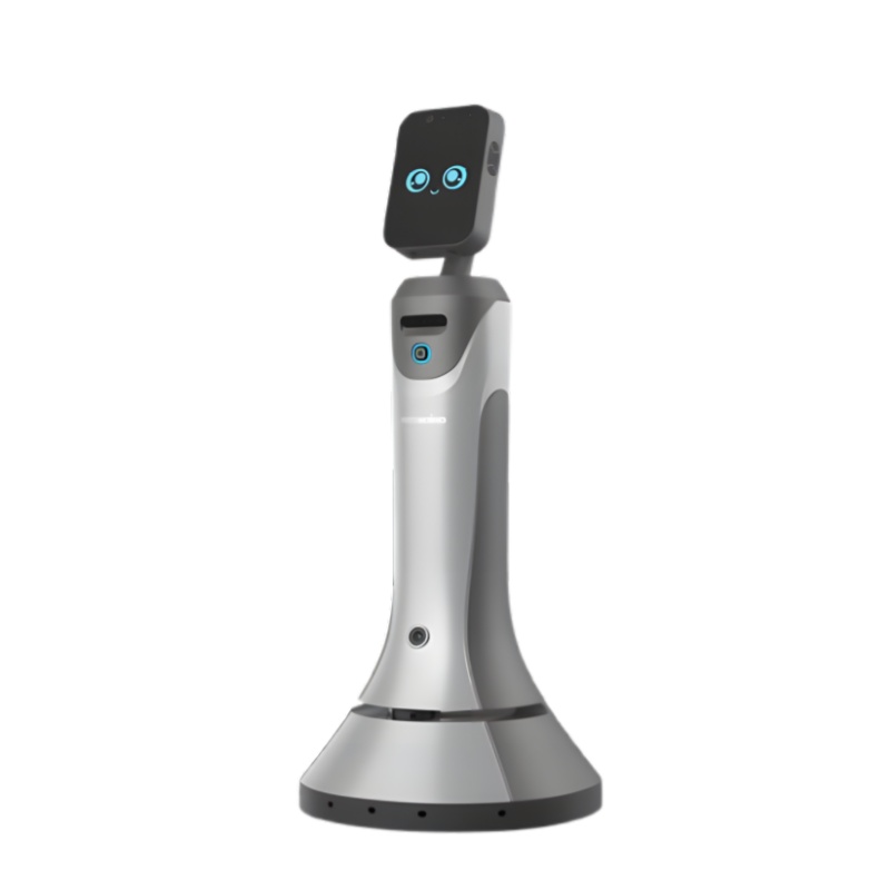 Showroom robot - Leopard Secretary