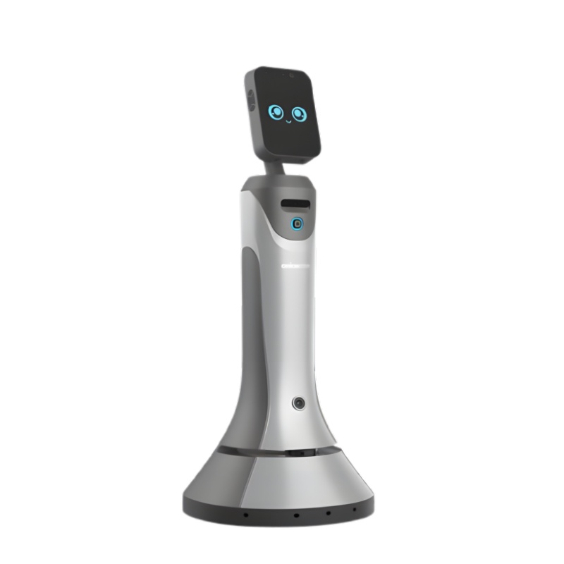 Showroom robot - Leopard Secretary