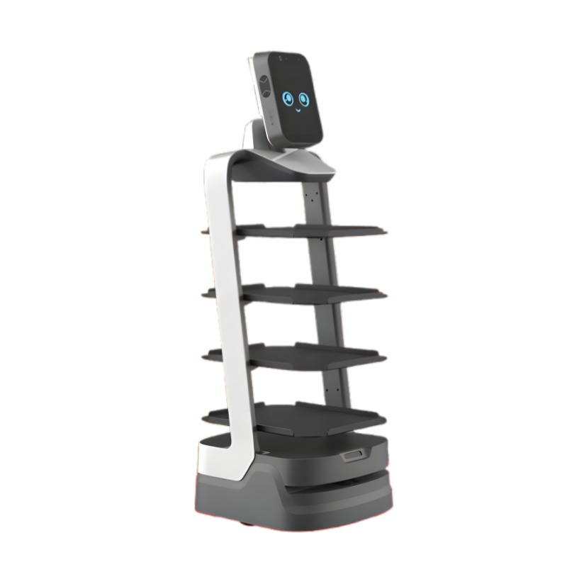 Marketing robot - Fortune Leopard