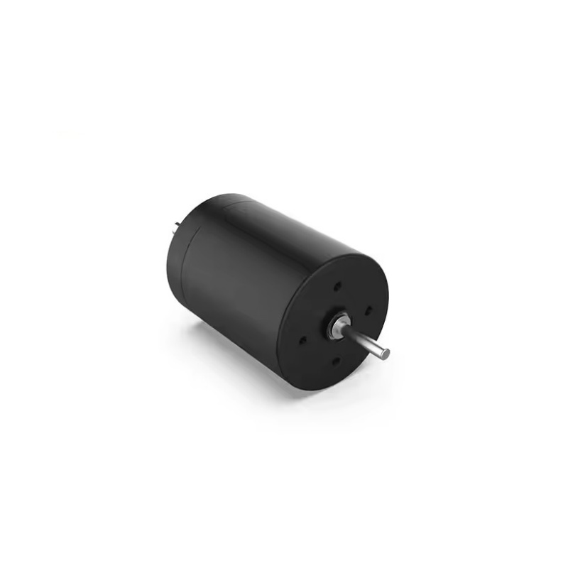 Hollow cup DC motor XBD-2431