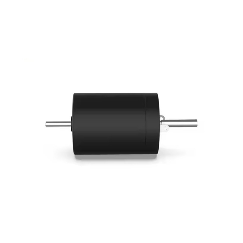 Hollow cup DC motor XBD-2431