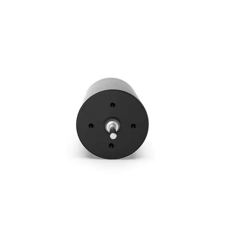 Hollow cup DC motor XBD-2431