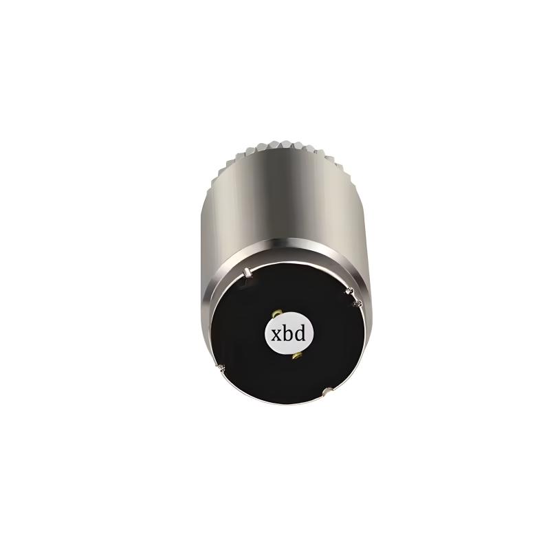 Hollow cup motor XBD-2342