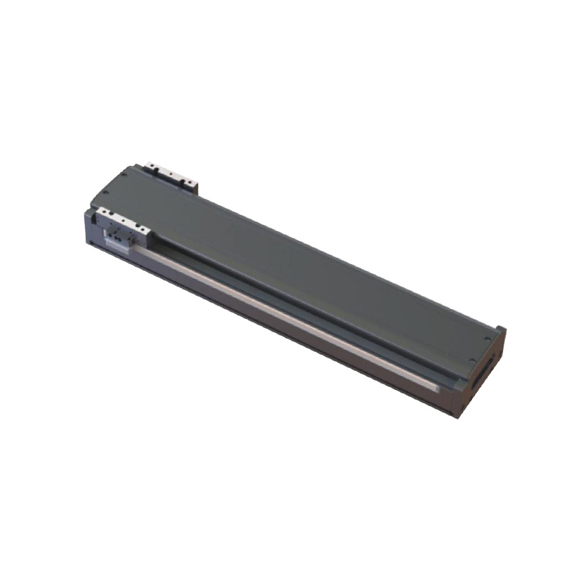 TE12H ball screw linear sliding table