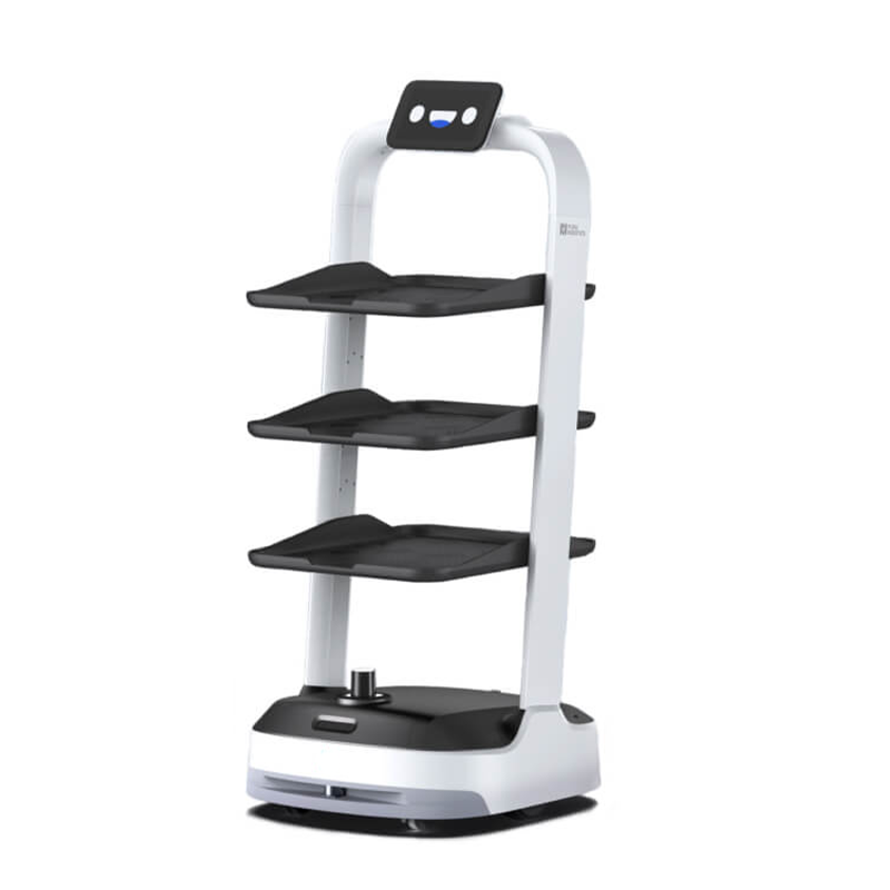 Pudubot S Extensively Modular Delivery Robot
