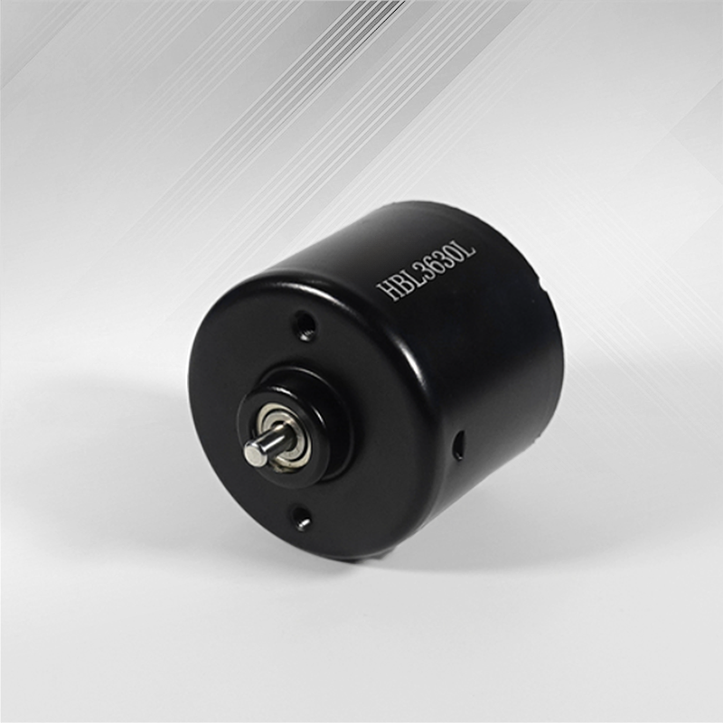 Supply rotor brushless motors within the HBL series