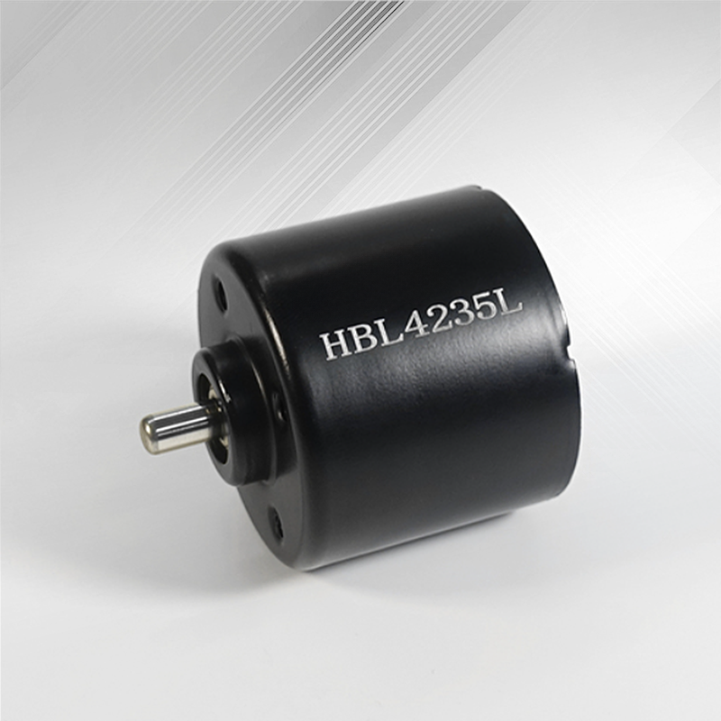 Supply rotor brushless motors within the HBL series