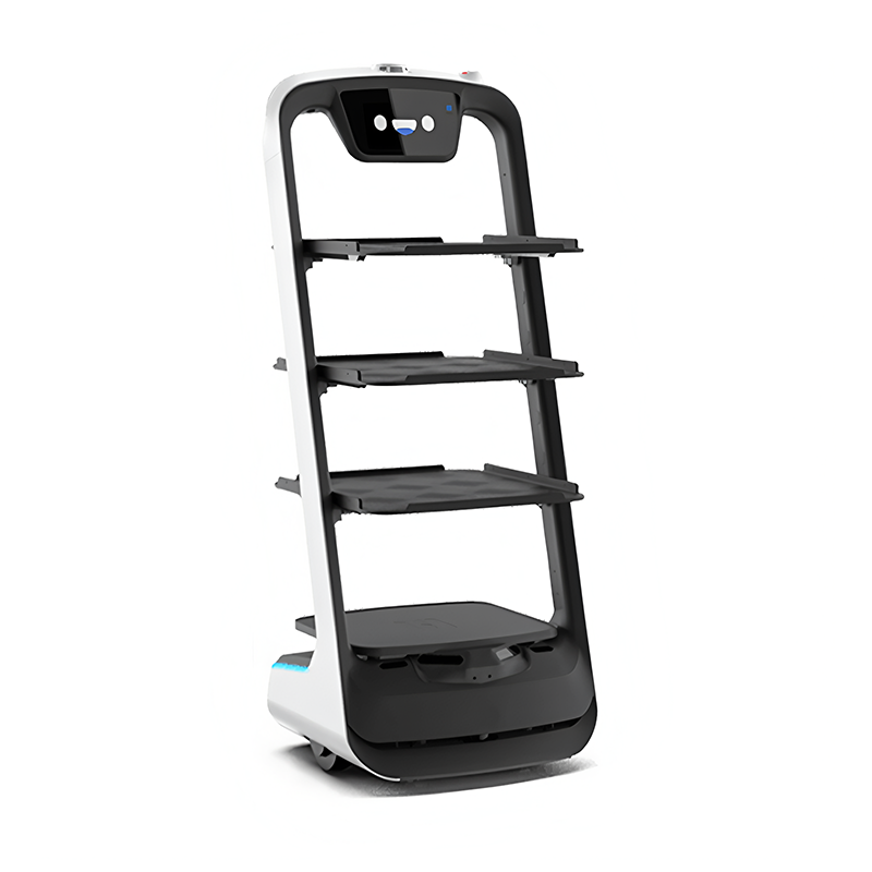 Delivery Robot-Classic