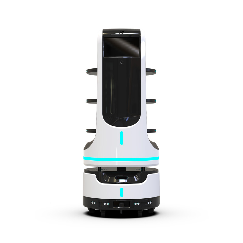 Smart Service Innovating Assistant Robot for Service 
