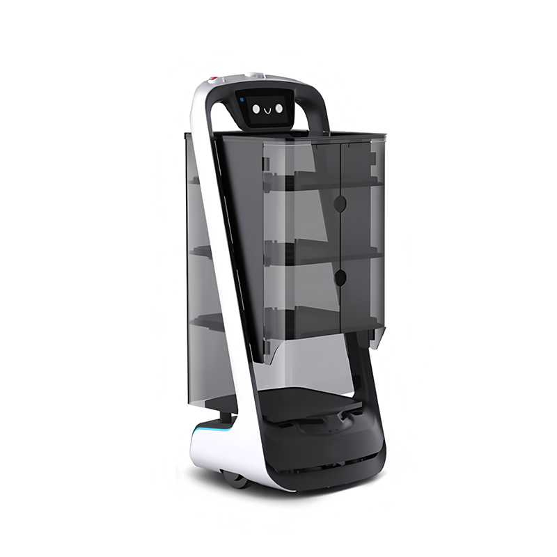 Delivery Robot-Classic
