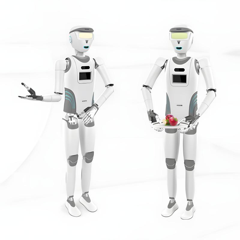 Intelligent humanoid robot - Xiao Wei