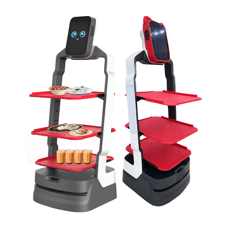 AI Delivery Robot