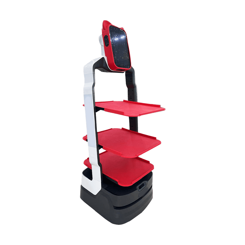 AI Delivery Robot