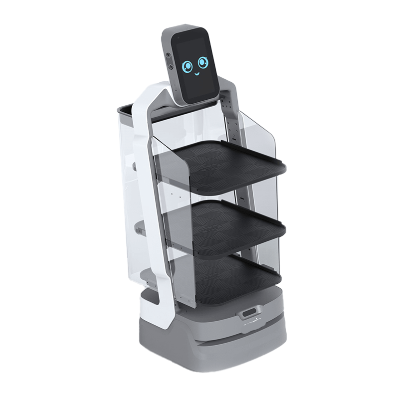 AI Delivery Robot