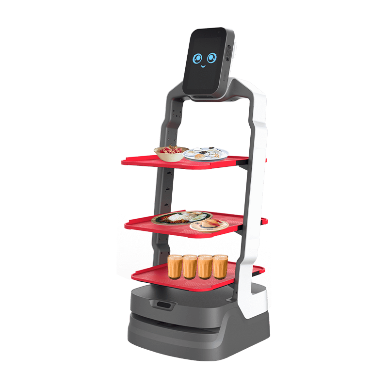 AI Delivery Robot