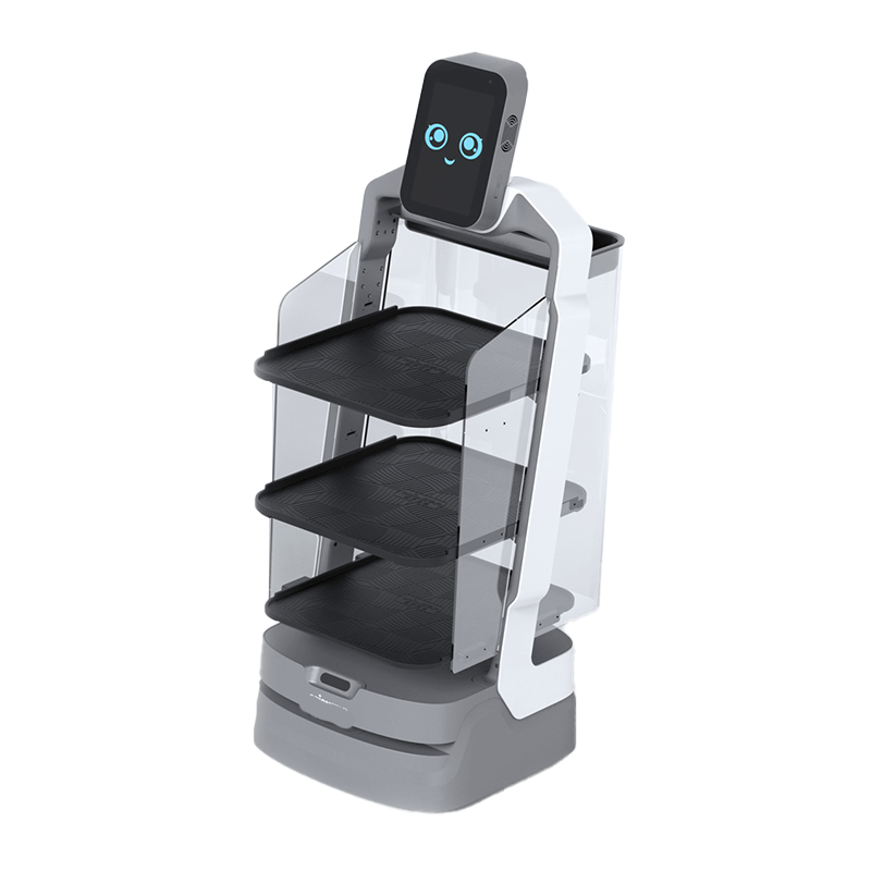 AI Delivery Robot