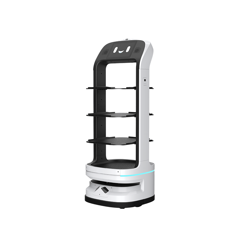 Advertising Delivery Robot