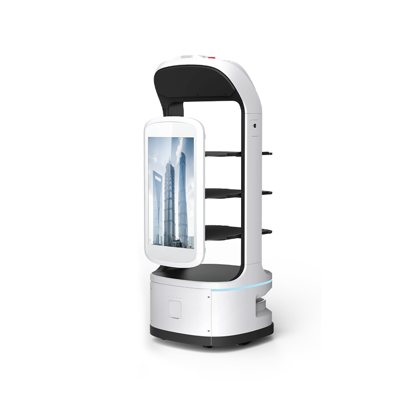 Advertising Delivery Robot
