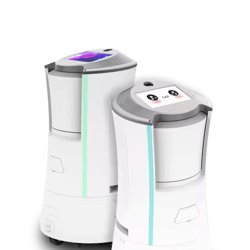 Hotel Robot (Single Cabinet)