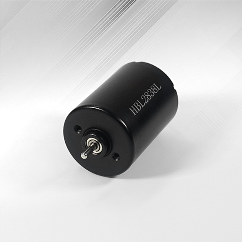Supply rotor brushless motors within the HBL series
