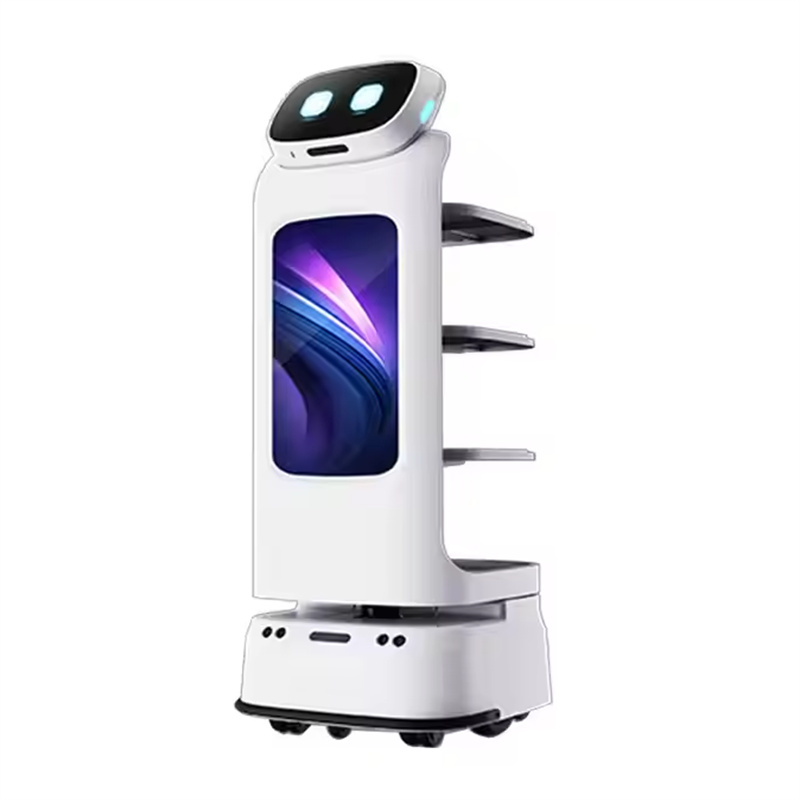 Multi-scene Intelligent Open Delivery Robot
