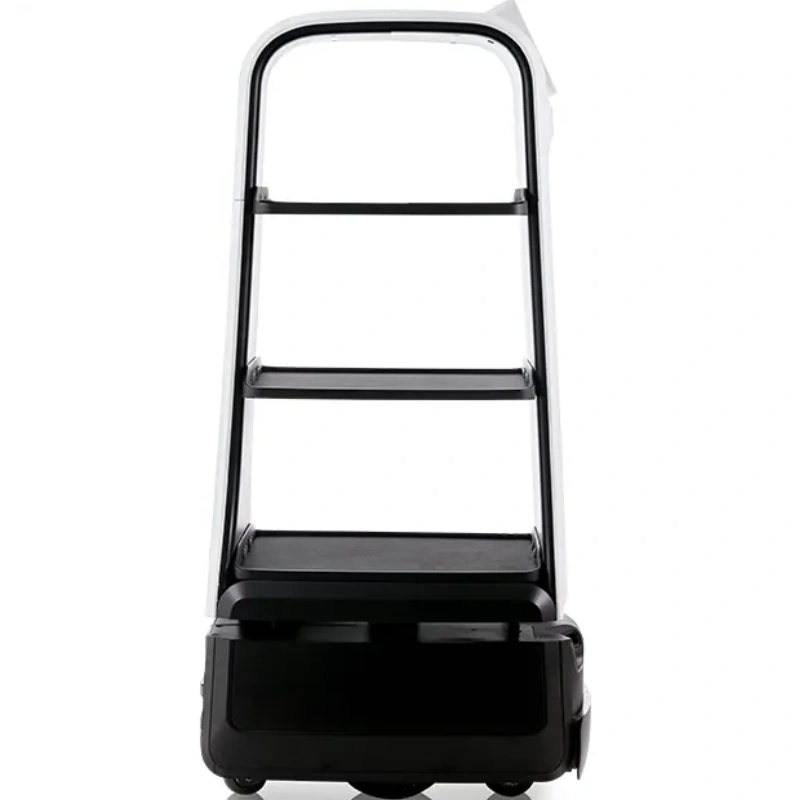 Padbot autonomous obstacle-avoiding commercial delivery robot