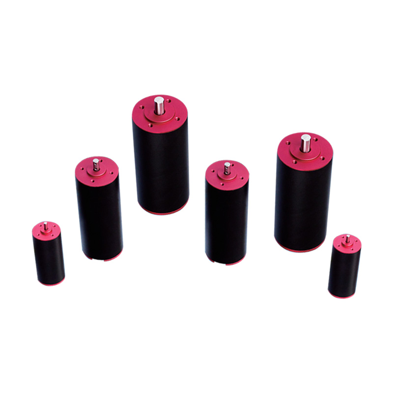 BL3270/3660/45100/65110 an standard brushless dc motor