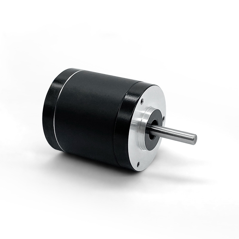 BL2040/2051/2232/2248AE high-temperature series motors