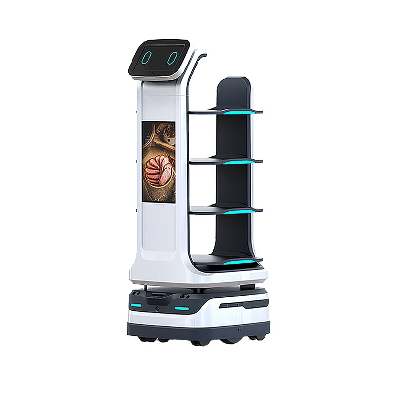 Intelligent food delivery robot T5