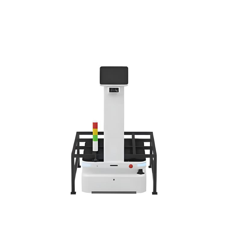 Heavy duty version of delivery robot