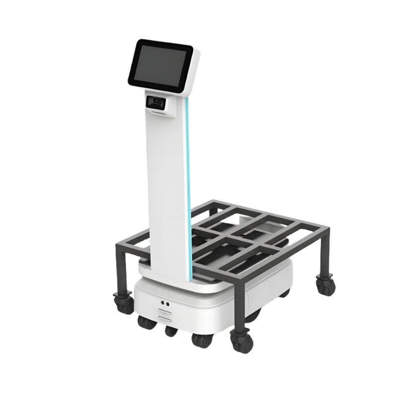 Lifting delivery robot