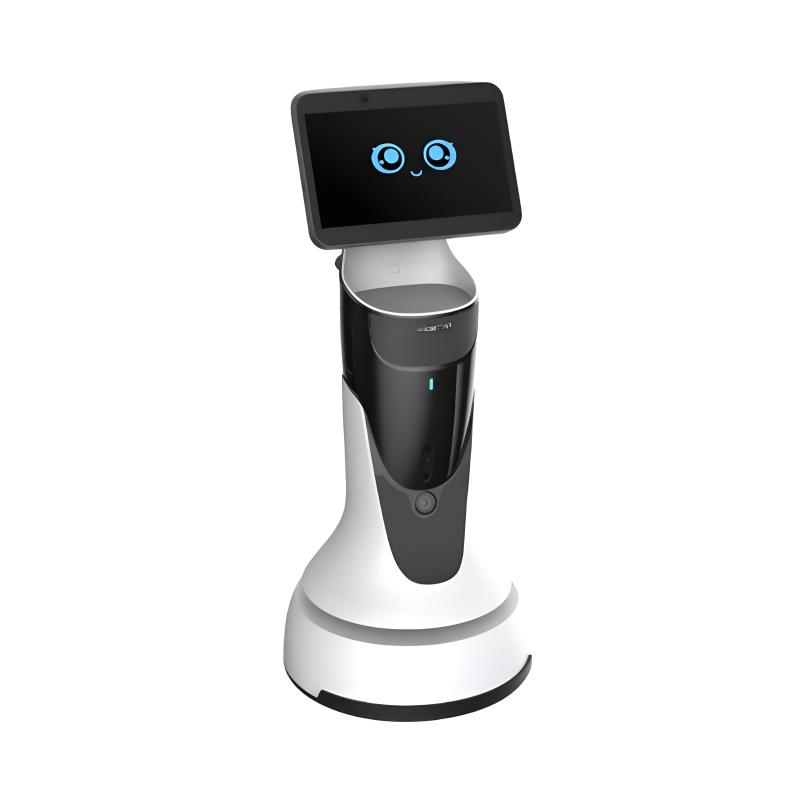 Intelligent reception service robot