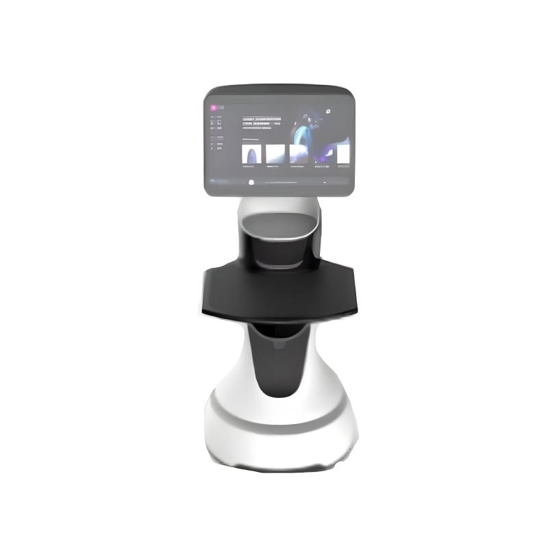 Intelligent reception service robot