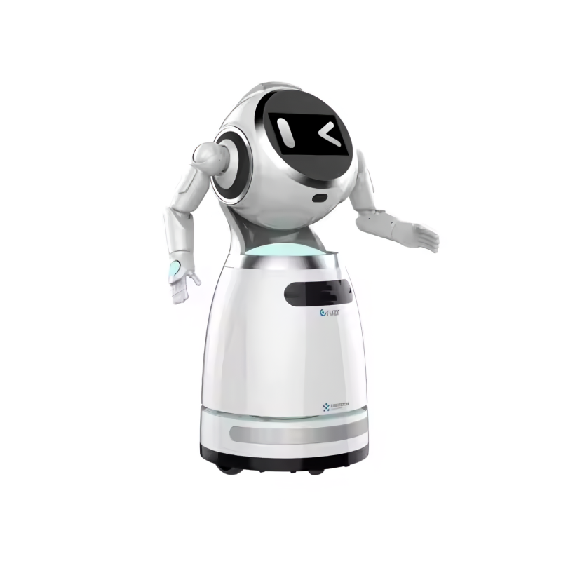 Intelligent Security Mobile Robot