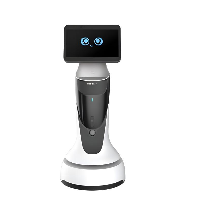 Intelligent reception service robot