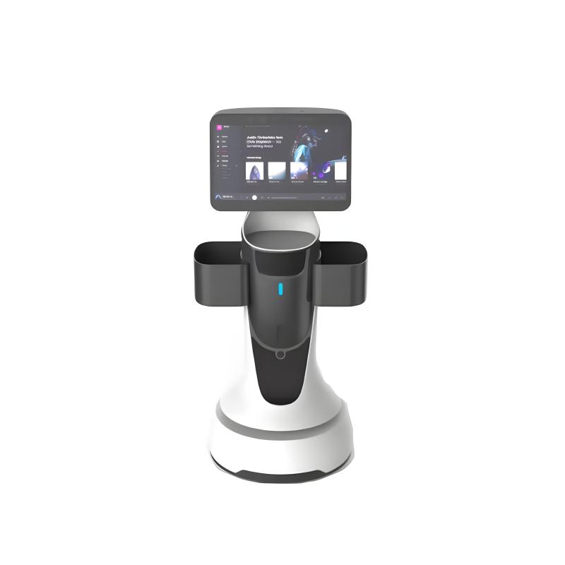 Intelligent reception service robot