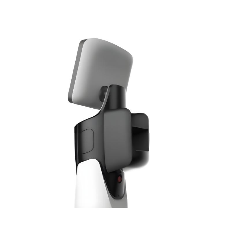 Intelligent reception service robot