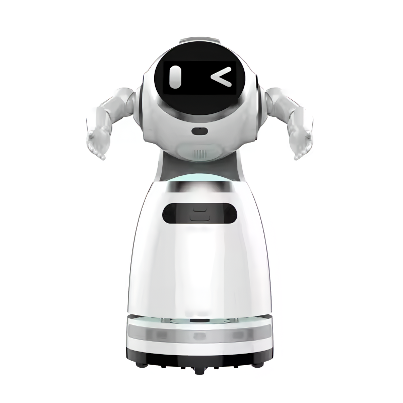 Intelligent Security Mobile Robot
