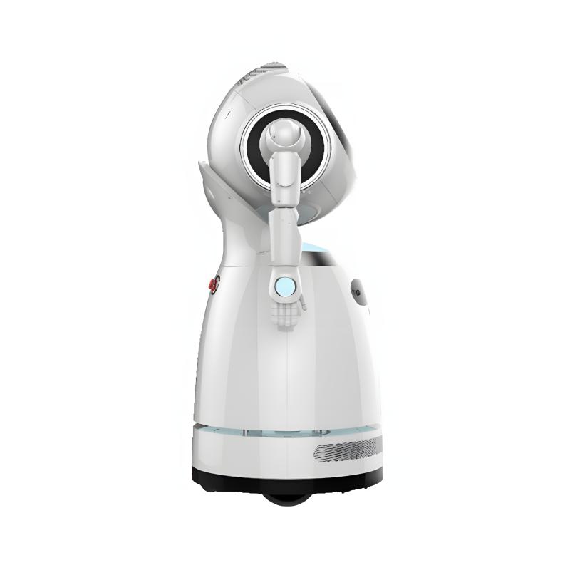 Explain the reception service robot