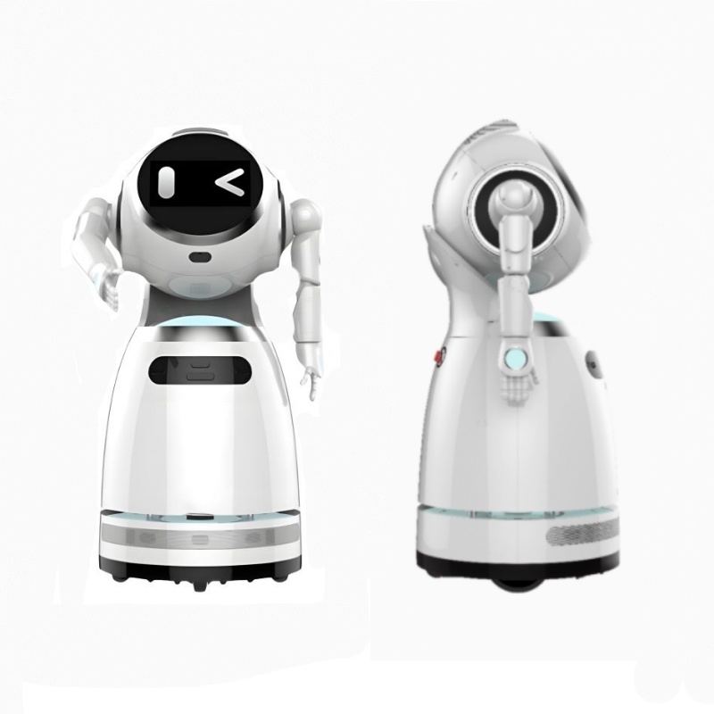 Explain the reception service robot
