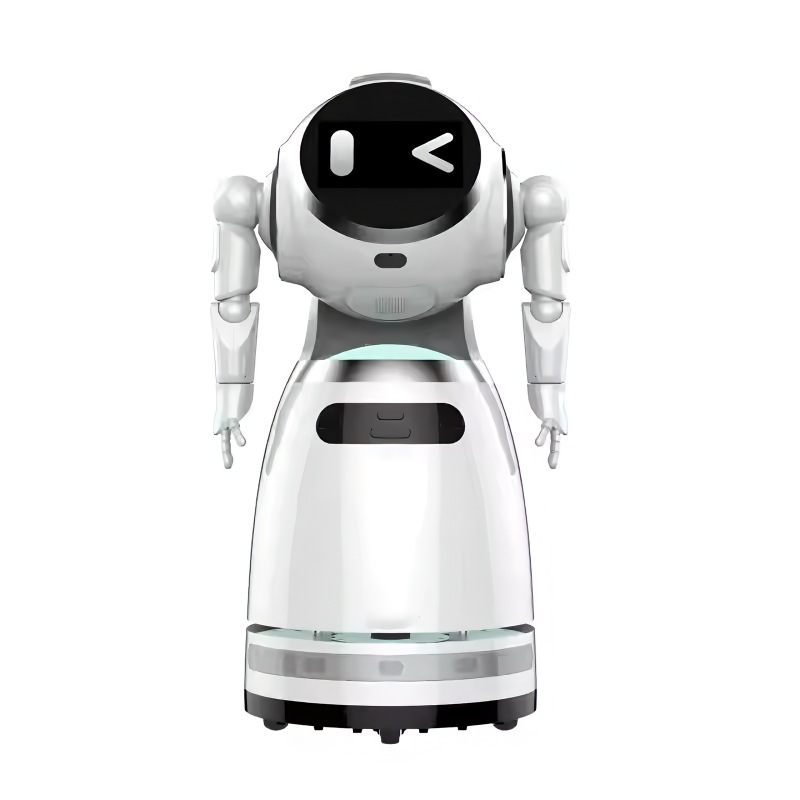 Intelligent Security Mobile Robot