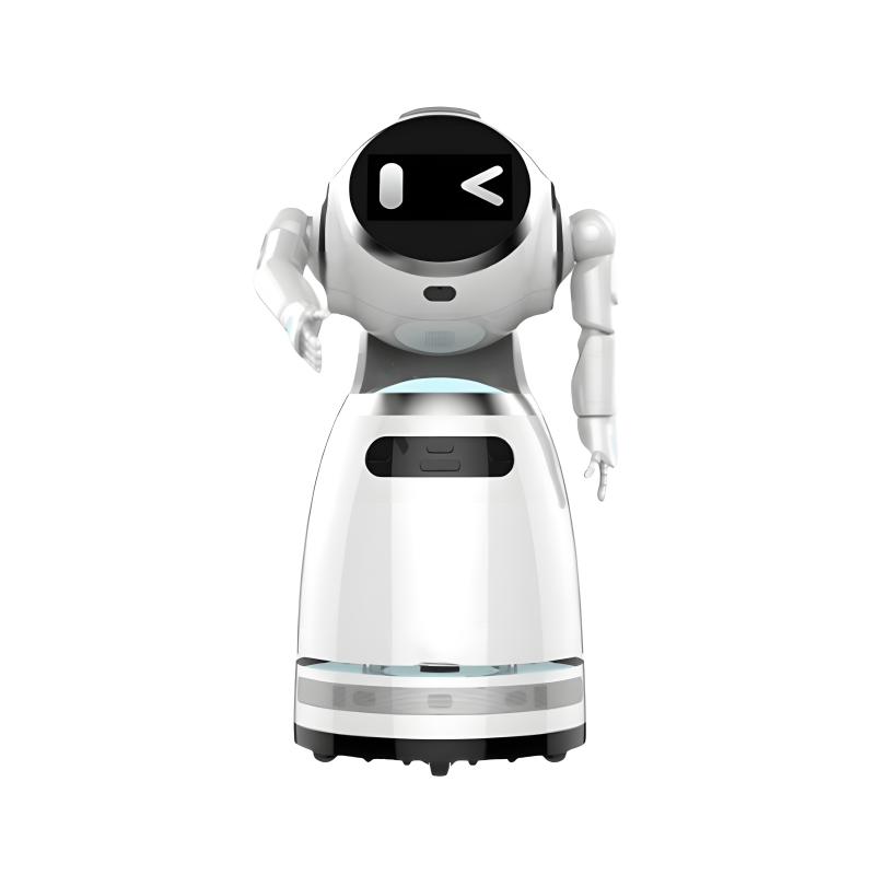Explain the reception service robot